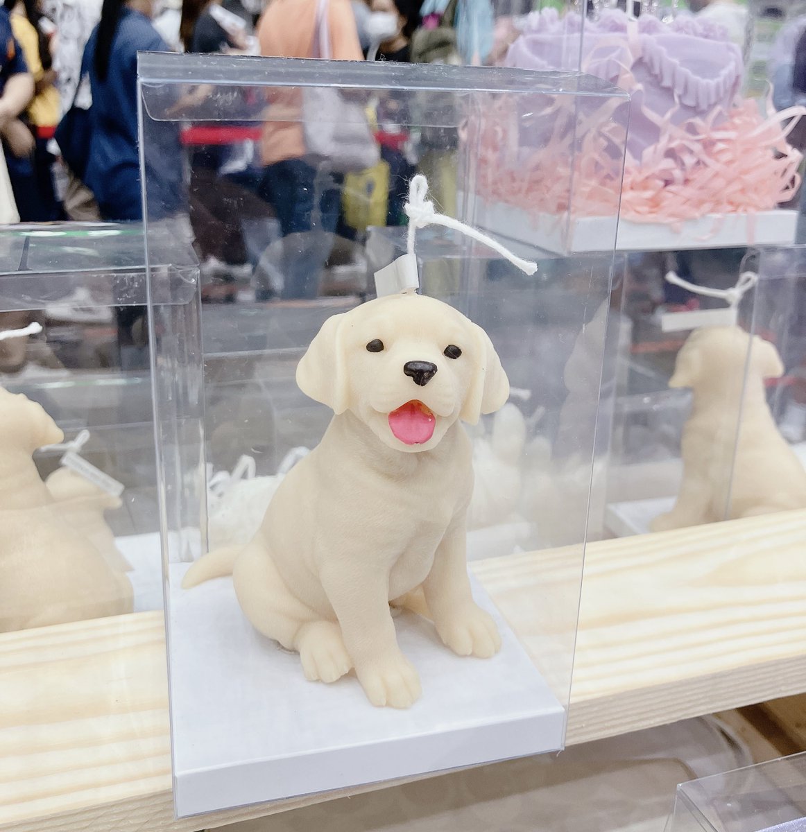 YellowYellowBkk's tweet image. เด้นๆกับเชิงเทียนก็มานะค๊าา
#DekDFair #FreeMarket ไบเทคบางนา hall 98นะคะ งานถึง6โมงเย็นเลยย
🗓 วันที่ 29 เม.ย. 66
🚩 ไบเทคบางนา Hall98
⏰ เวลา 09.00 - 18.00 น.