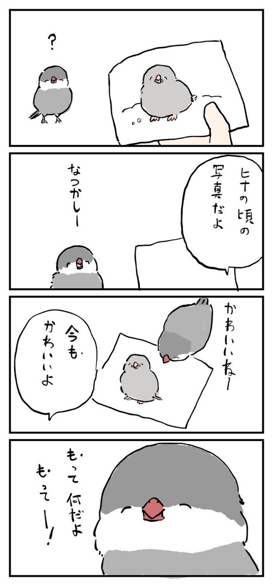 文鳥さん漫画4本