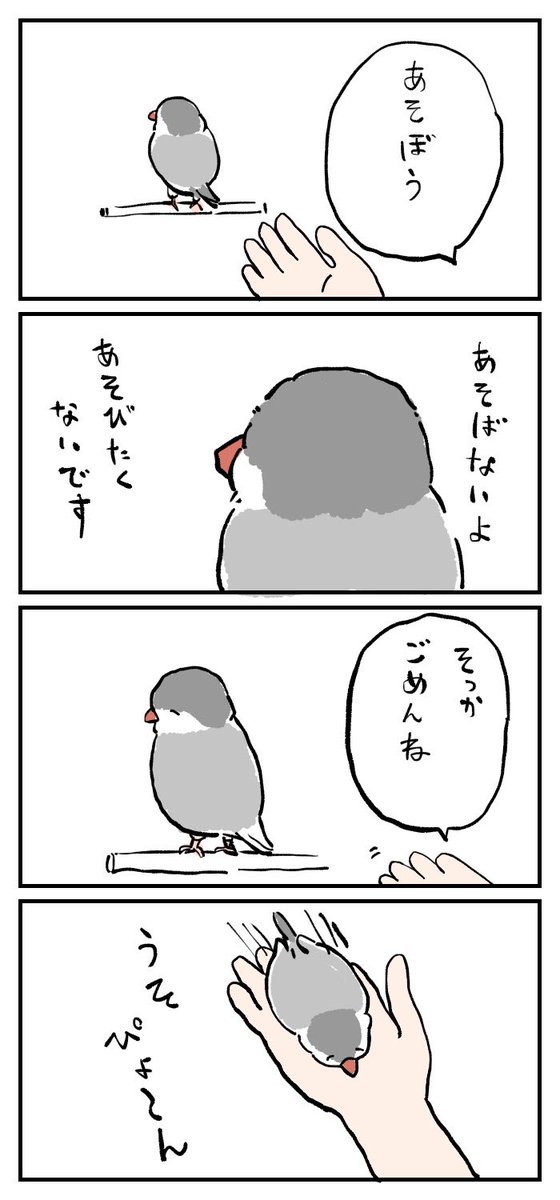 文鳥さん漫画4本