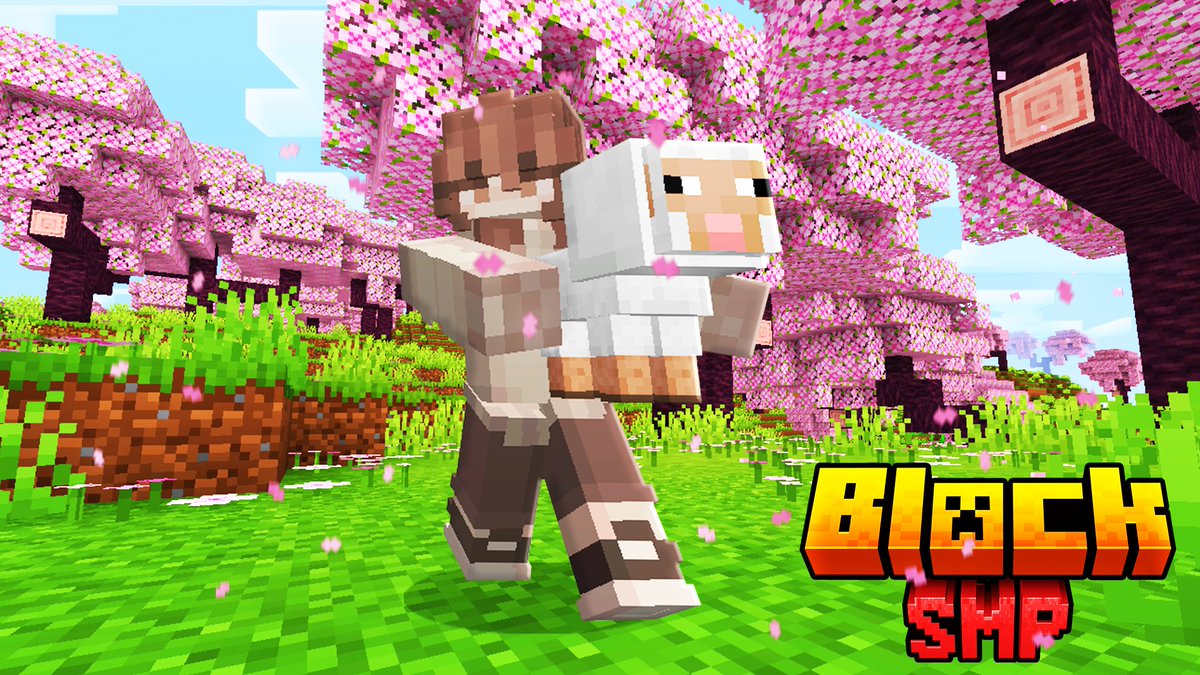 Block Team 👑 tweet media