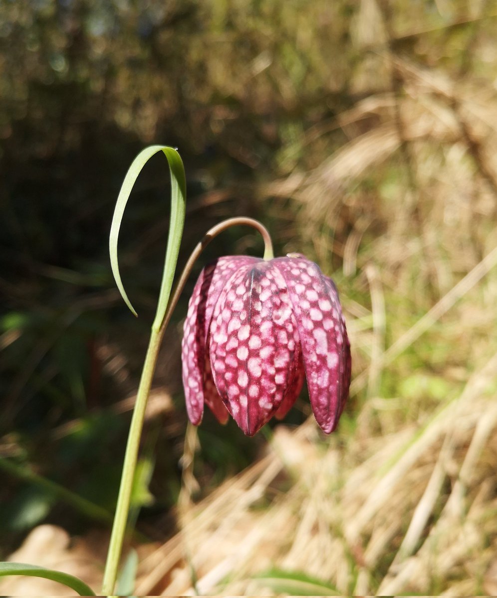 Guten Morgen. Lasst uns das lange Wochenende geniessen! ☕