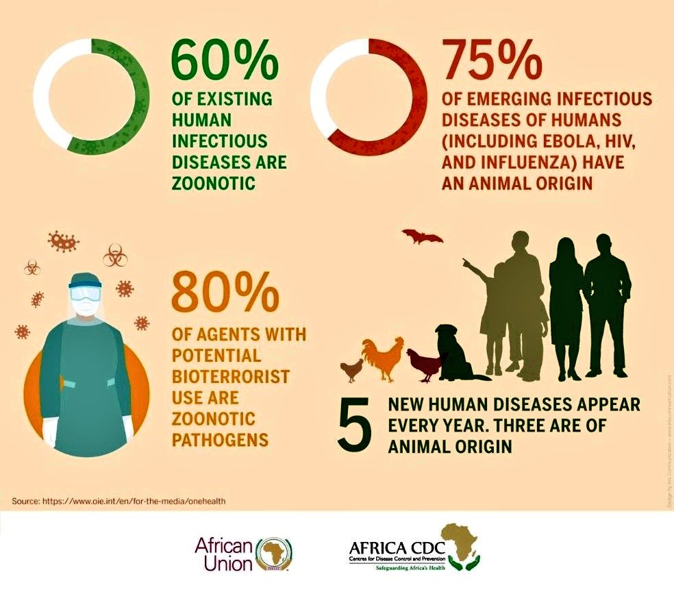 At its core, veterinary medicine is about enhancing the bond between humans &amp; animals. Whether it's through preventative care, medical treatment, or simply providing comfort &amp; companionship, vets play a vital role in enriching the lives of both animals &amp; their human caretakers.