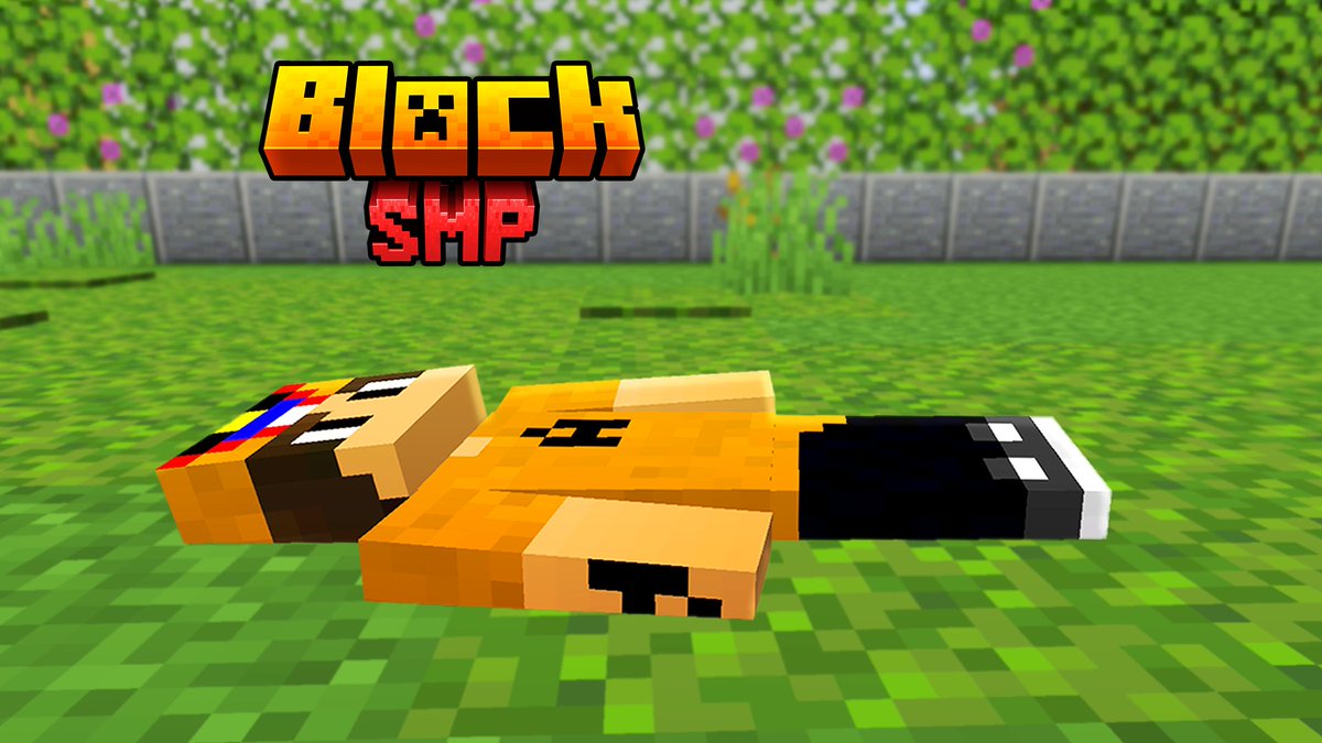 Block Team 👑 tweet media