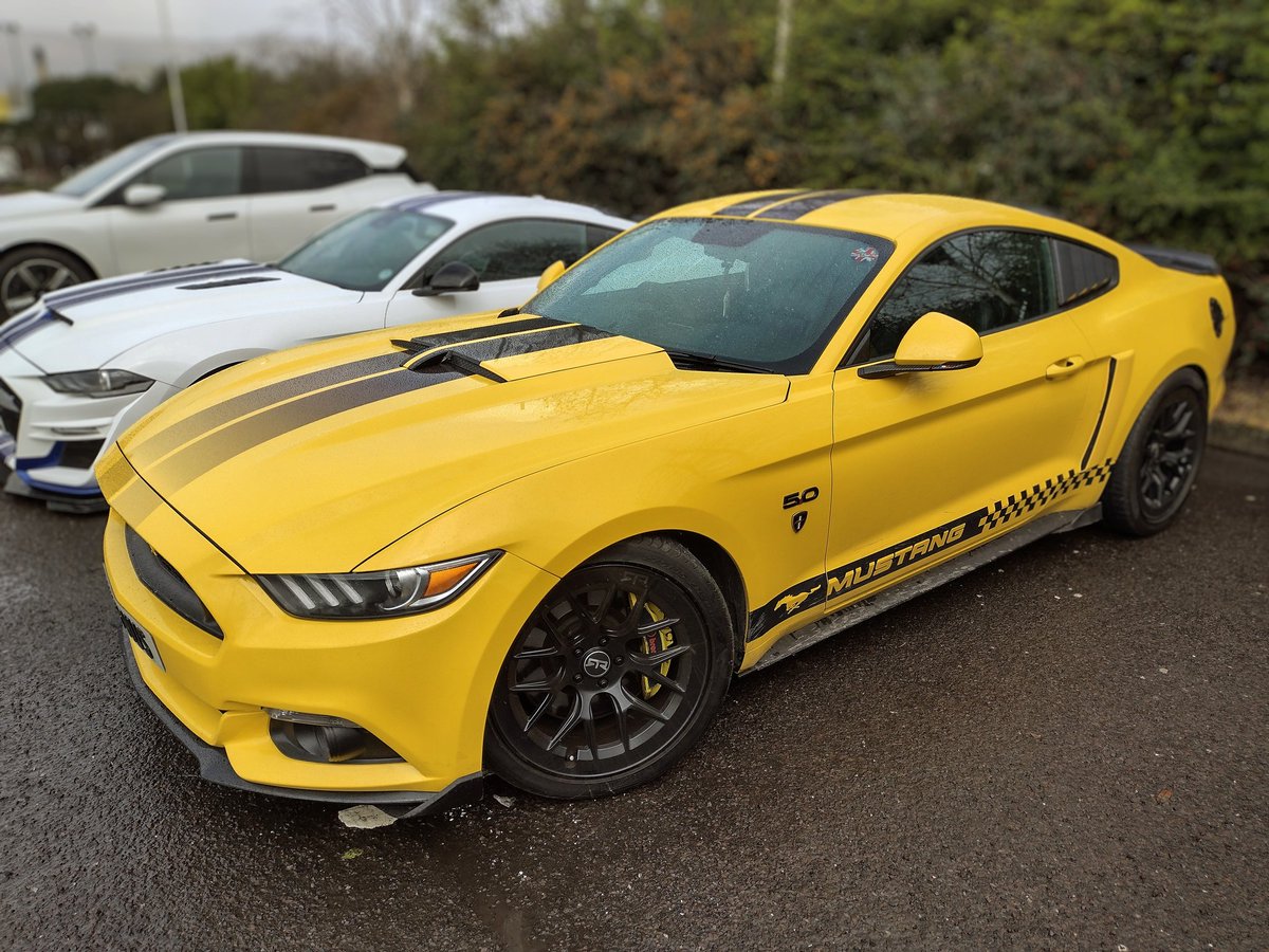 Custos718's tweet photo. Mustang
#ford #fordmustang #mustang #musclecars #fordmotorcompany #fordmotors #fordclassics
@Custos718 https://t.co/QEy3Y6TM0y