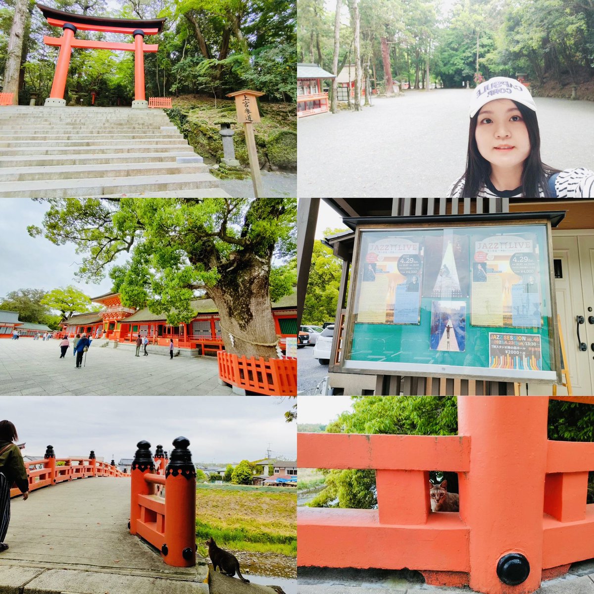 MusicRiyo's tweet photo. Usa Jingū in Usa city, Ōita Prefecture, Japan⛩️

大分宇佐市にある宇佐神宮に参拝に行きました⛩️ 🐇

#大分旅行 
#大阪観光 
#大分 
#宇佐市 
#宇佐神宮 
#猫 
#oita 
#oitatrip 
#usacity 
#usajingu 
#shrine 
#cat https://t.co/IHd9d9nasJ