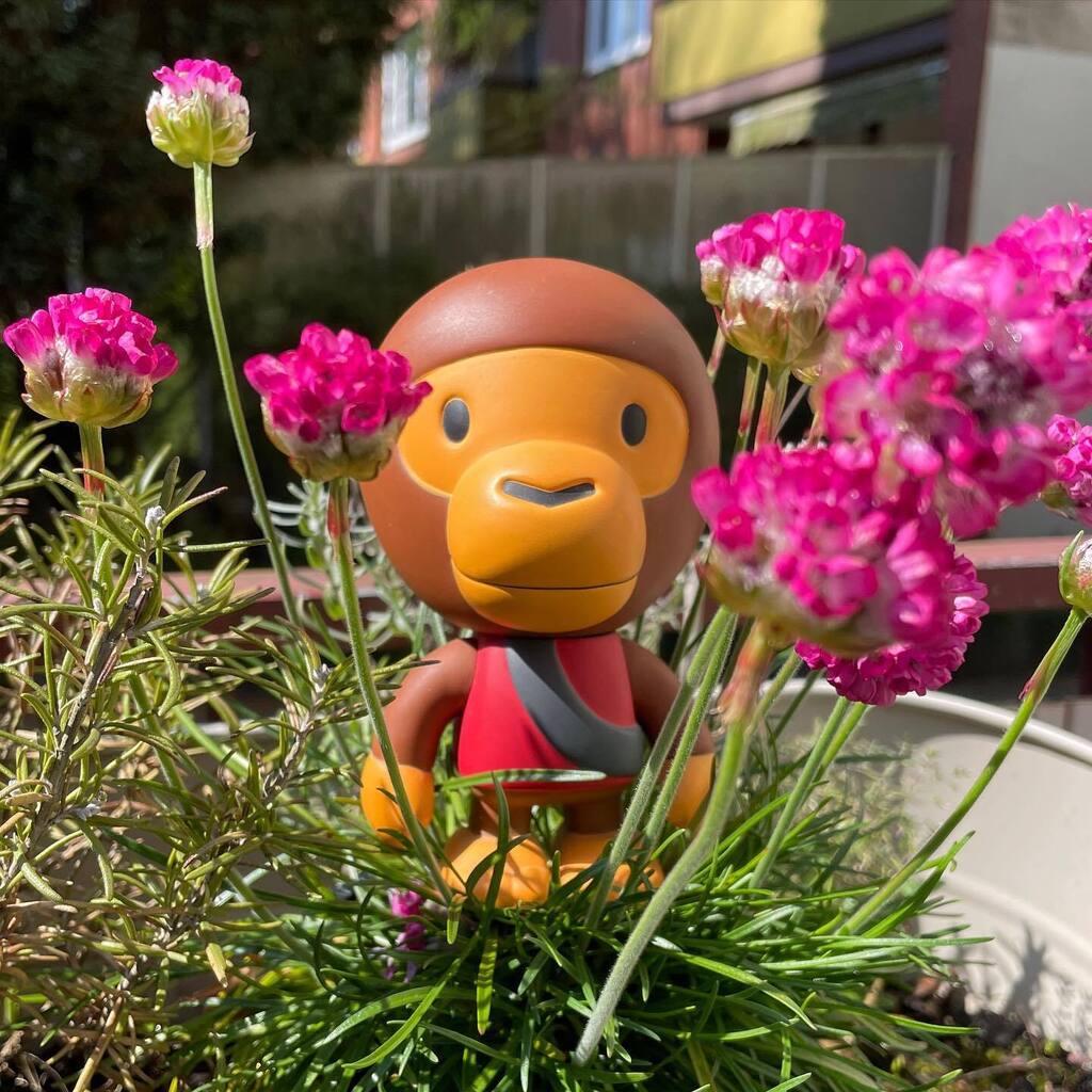 Time for some garden chores 🪴 
—
#bape #babymilo #planetoftheapes #toyphotography #toyphoto #nigo #hypebeast #urbangardening instagr.am/p/CrnYVJttgoD/