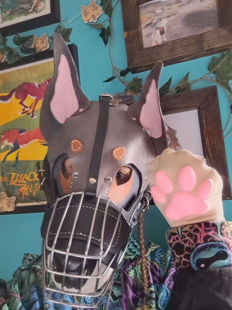 PupGremlin's tweet photo. It's the weekend, so won't you please let me out so I can play properly? 😶
#Pup #FemalePup #PupHood #WolfdogPup #Wolfdog #BitchPup #PupPlay #Muzzle #MuzzledPup #MuzzledBitch #MuzzledWolfdog https://t.co/ZIbrl6CnXe