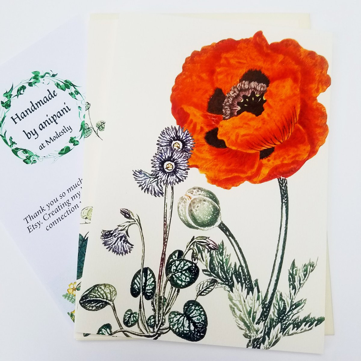 anni103's tweet image. In my #etsy shop!: Personalized greetings card with poppies from original artwork, handmade artist greeting card etsy.me/3Vi9IyT #artistcard #botanicalcard #personalizedcard #floralart #flowerscard #poppycard #gardener #customgreetings #floralcard