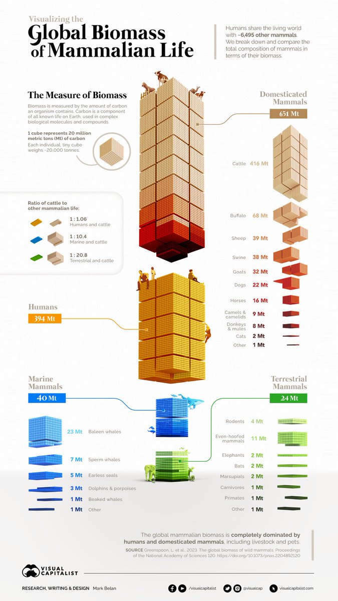 NEW PIECE: The Global Biomass of Mammals 🐇🐕🦣🐋🦍🐄🐖

This infographic compares the biomass of all mammals on Earth.

#dataviz #data #datafam #biomass #biodiversity #sciart #infographic #biology #zoology #science #art #infographics #livestock #farming #global