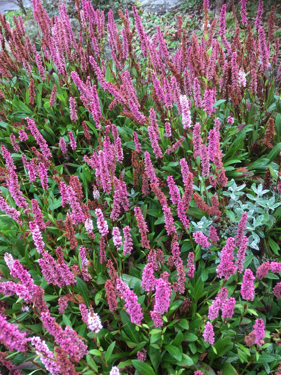 “Flowers bloom to many winds and rains.
A person’s life is filled with partings.”

Zen Sand 10.104