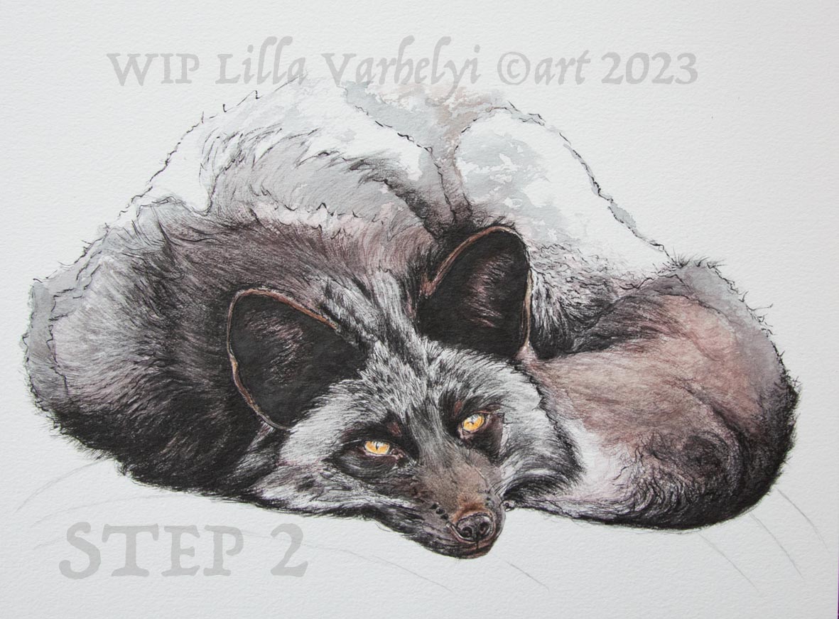 LillaVarhelyi's tweet photo. Weitergezeichnet am #Silberfuchs🦊
#WIP #inkpainting #tusche 31x23 Step2
Euch ein schönes Wochenende🌤️
#art #fox #wildlifeart #kleineKunstklasse #wipart #wildlifedrawing #foxdrawing #zeichnen #fuchsliebe #fuchs #WorkinProgress #drawing #zeichnung #artwork #wildtierzeichnung https://t.co/Q1ZtaulZyp