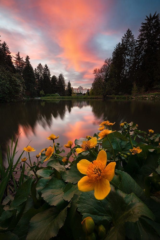 #FollowsEli💚#SuperFriends💖

<a href="/nbea_h/">#𝕾𝖚𝖕𝖊𝖗𝕱𝖗𝖎𝖊𝖓𝖉𝖘 #𝕿𝖔𝖕𝕱𝖗𝖎𝖊𝖓𝖉𝖘</a>
<a href="/Voor21/">Voor</a>
@Da__Eliz
<a href="/Aegir25/">༆John༆</a>
<a href="/Qs3488/">Qamar Shahzad🦅</a>
@Ozlerntr
@SMN__5
@S_k3325
<a href="/chbob0/">حفظ ❤</a>
<a href="/Eles26/">Eles Durán</a>
@2Ay_la
<a href="/lhywf2/">عمشه</a>
<a href="/zahoorap1/">zahoor ahmed</a>
<a href="/1firj/">Halit Mahmut❣️B1</a>
<a href="/_143AH/">Afsheen</a>
<a href="/_e1_e/">Azul Violeta 🍄</a>
<a href="/Magdale_Aguilar/">꧁🅼🅰🅶🅳🅰❥꧂</a>
<a href="/otrogoga60/">ᴏꜱᴄᴀʀ ɢᴏᴍᴇᴢ ɢᴀʀᴄɪᴀ</a>
<a href="/___go22/">PEPE ARMY WHALES 🐳</a>
<a href="/30ilj/">هبة العبيدي</a>
<a href="/0Ain_/">𝑨𝒊𝒏𝒂𝒎 𝒗𝒊𝒆𝒘'𝒔</a>
<a href="/R1_Adv/">Ridwan R1🇮🇩</a>
<a href="/kn_jui/">Bakht Zada🇵🇰f💯</a>
<a href="/otrogoga60/">ᴏꜱᴄᴀʀ ɢᴏᴍᴇᴢ ɢᴀʀᴄɪᴀ</a>
<a href="/DESSIRE_9/">👑DESSIRE👑</a>
<a href="/20ysf1/">Yusuf</a>
<a href="/9OOOY/">سموالفخامۿ</a>
<a href="/chhai22/">Vii Chhai22</a>