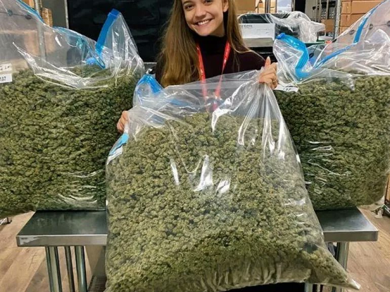 BudVizion tweet media