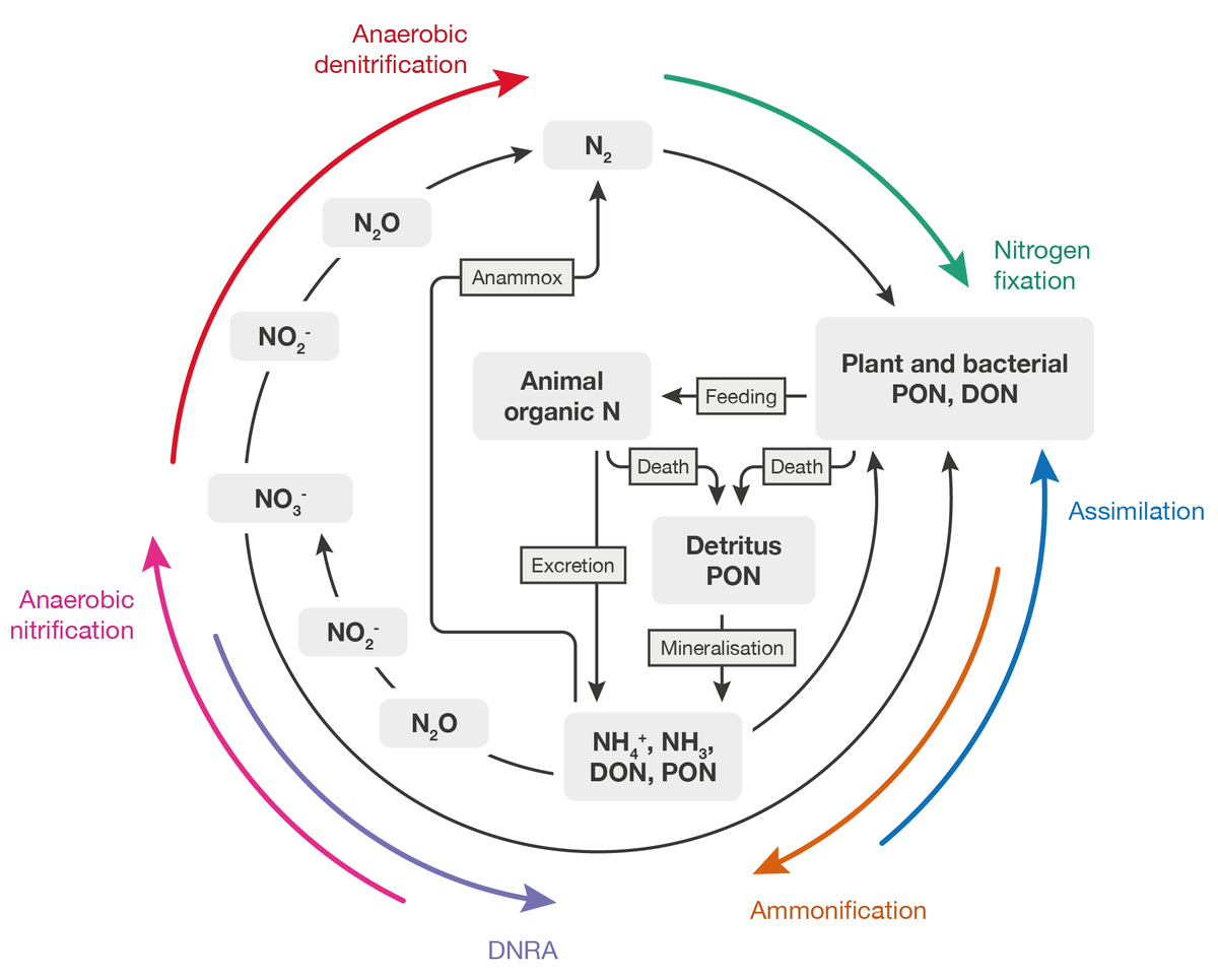pj13302's tweet photo. Delighted to share our article on the role of dissolved organic matter as in freshwater nutrient cycles, state of the science and future directions, completing our Special Issue of Biogeochemistry: https://t.co/uX9Kd8sWaj @NERCscience @DOMInFreshwater https://t.co/GasfNXsH1Z