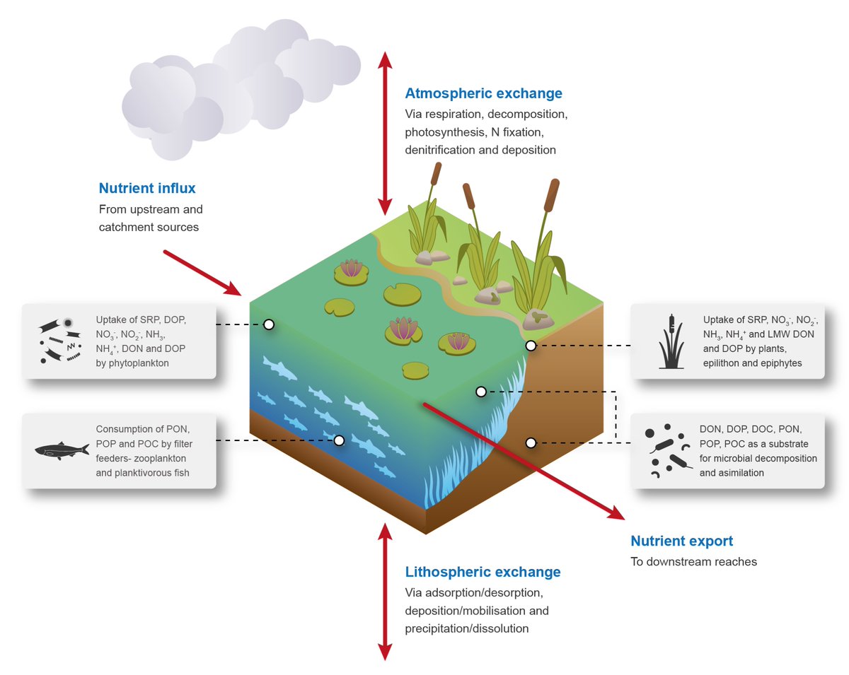 pj13302's tweet photo. Delighted to share our article on the role of dissolved organic matter as in freshwater nutrient cycles, state of the science and future directions, completing our Special Issue of Biogeochemistry: https://t.co/uX9Kd8sWaj @NERCscience @DOMInFreshwater https://t.co/GasfNXsH1Z