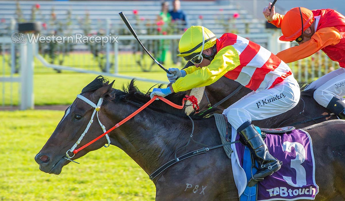 Western Racepix tweet media