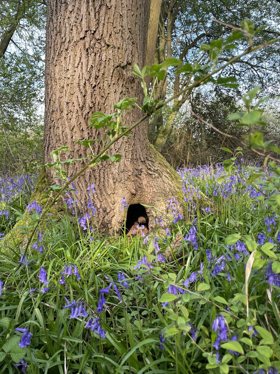 Where’s your weekend starting?