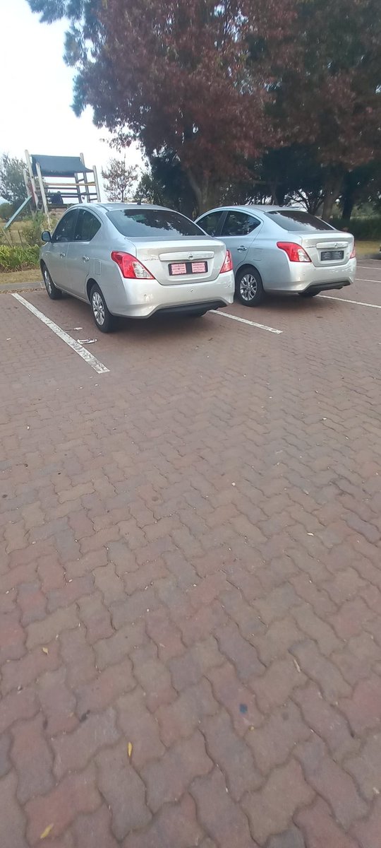 Gratitude82's tweet photo. Starting a fleet business.. hoping to bag my first client so for more details Dm me https://t.co/agW3Vrlkjd