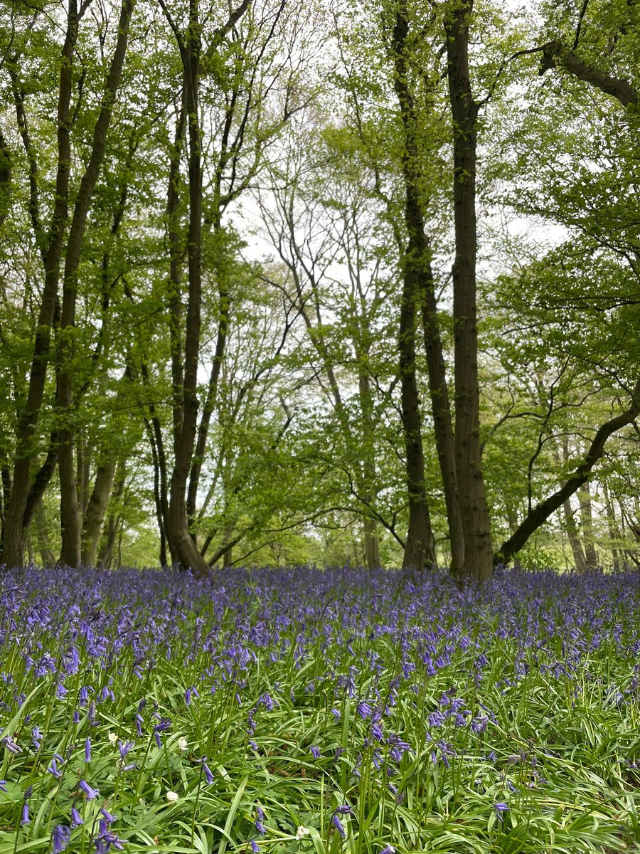 Herts & Middlesex Wildlife Trust tweet media