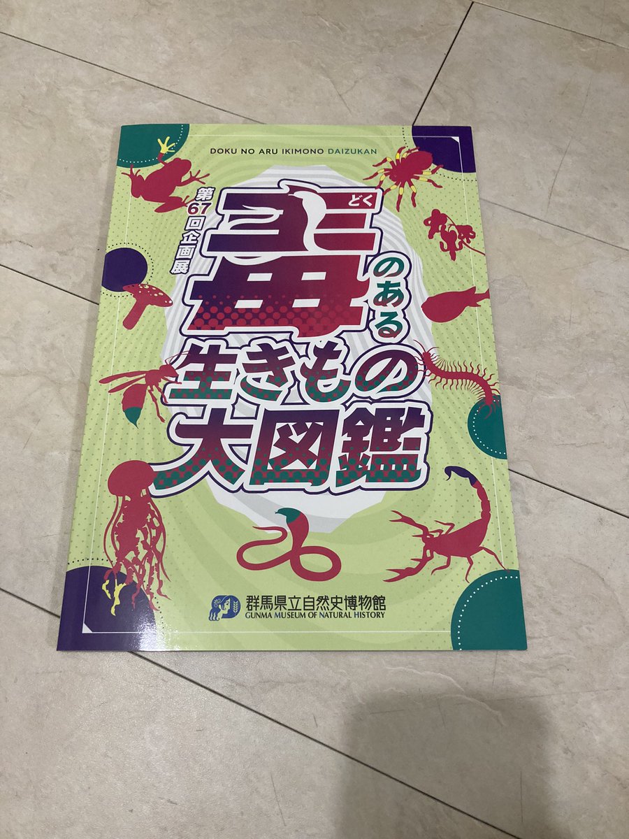 Scorpion_Labo's tweet photo. 素晴らしい出来栄えです。

毒について分かりやすい。

群馬県立自然史博物館様 https://t.co/SO4NUlEVEq