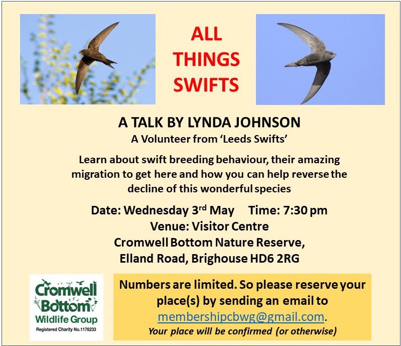 There are still places available at the talk this Wednesday at 7:30 in the Visitor Centre all about swifts - their amazing migration, behaviours and breeding habits. Book your place(s) at membershipcbwg@gmail.com.