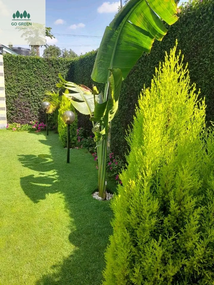 SimonJohnson_ke's tweet photo. Go green landcapers🌳.with our 10 years of experience and real focus on customer satisfaction, you can rely on us for your next garden landscaping https://t.co/hhrzGjoLnh or Whatsapp 0799620408
#Earthquack 
#pastorezekiel
#Thika
#RailaOdinga
#PastorMackenzie https://t.co/GGX3LBj55i