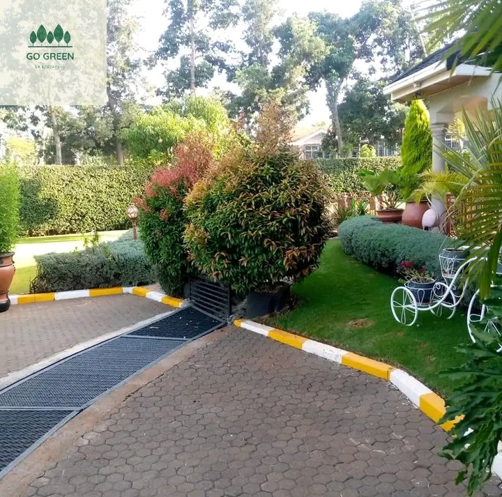 SimonJohnson_ke's tweet photo. Go green landcapers🌳.with our 10 years of experience and real focus on customer satisfaction, you can rely on us for your next garden landscaping https://t.co/hhrzGjoLnh or Whatsapp 0799620408
#Earthquack 
#pastorezekiel
#Thika
#RailaOdinga
#PastorMackenzie https://t.co/GGX3LBj55i