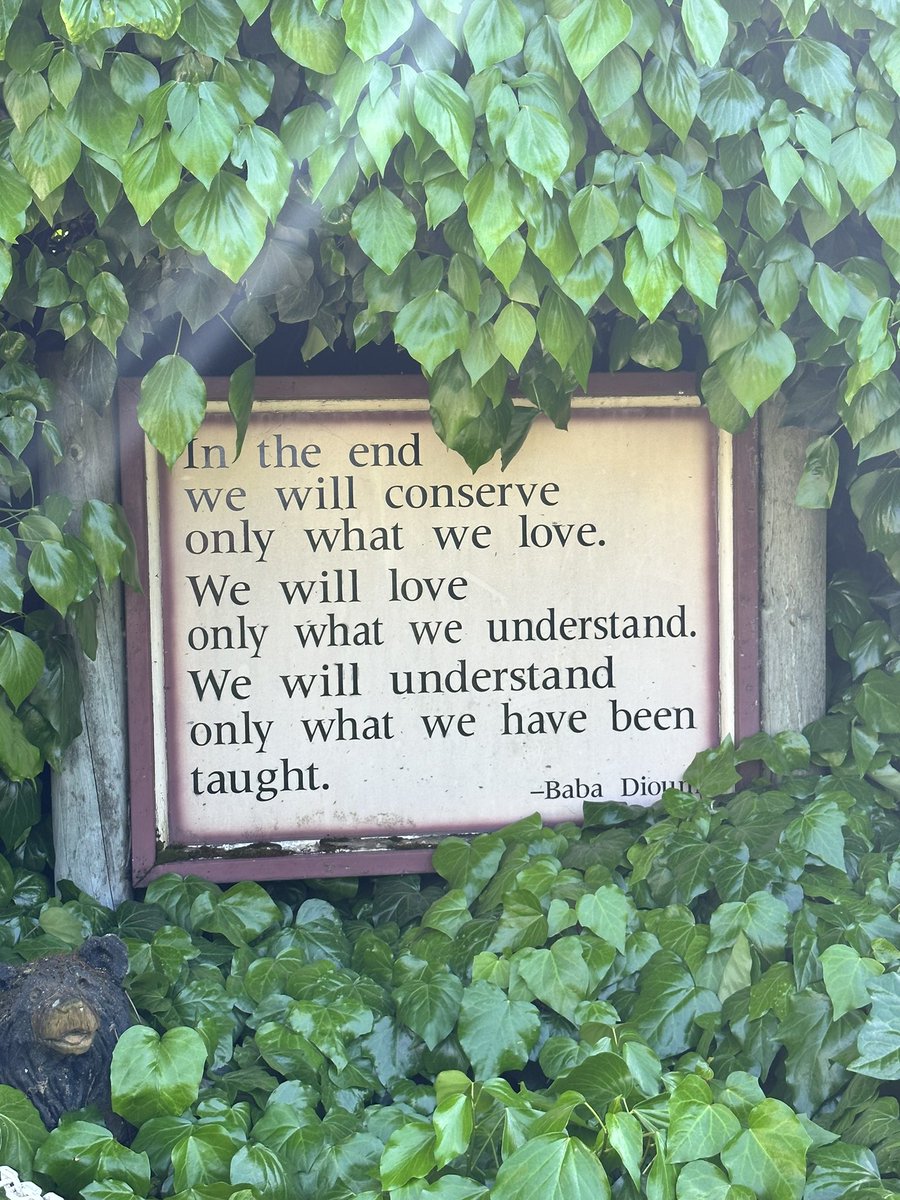 Jessica Vigil tweet media