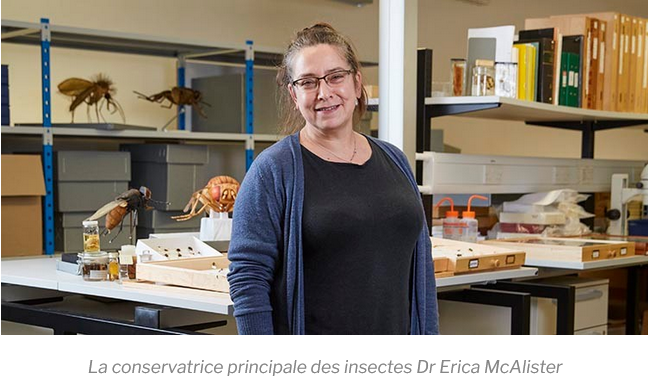 RegardFC, forum des radios culturelles depuis 2009 tweet media