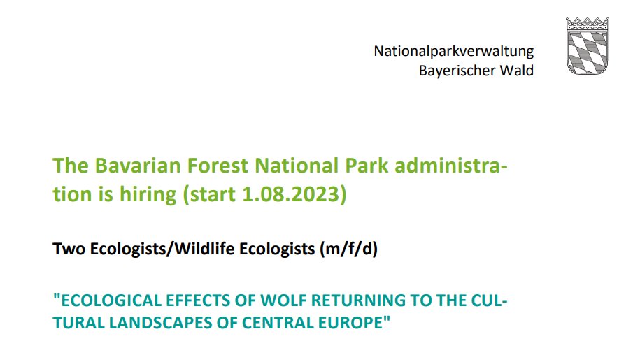 Wild_Ecol_Cons's tweet image. PHD/POSTDOC JOBS ALERT

✅ Wolves

✅ Germany's oldest national park

✅ A kick-ass team of researchers

You can message us your email address for a copy of the PDF. Please share!