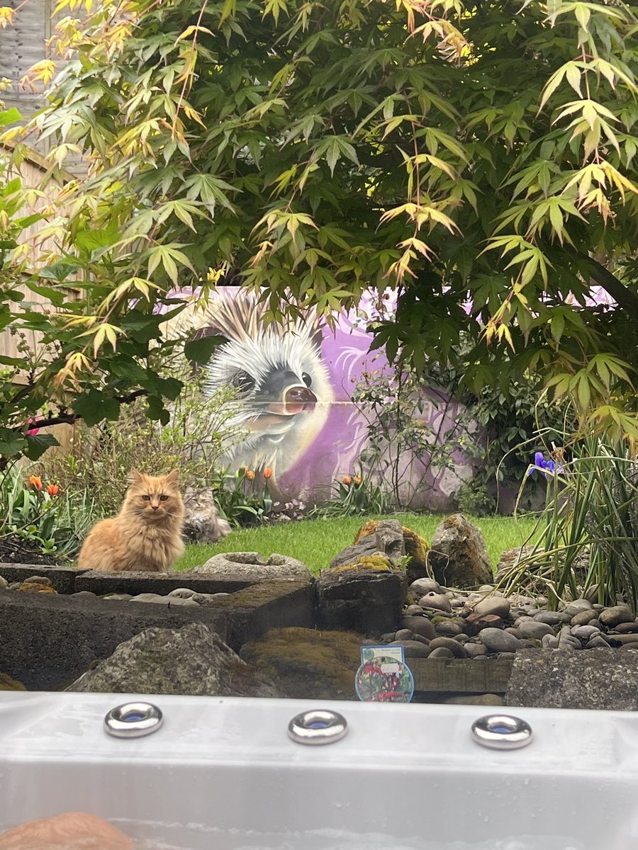 HansfordLouise's tweet image. Nothing better than a busy week away but to return to my wonderful husband Adie 🥰delightful Issy Grace 👩🏻‍❤️‍👩🏻 my feline family 😻 and my incredible garden with all my favourite flowers 💐 #GiftsOfRecovery #Contented