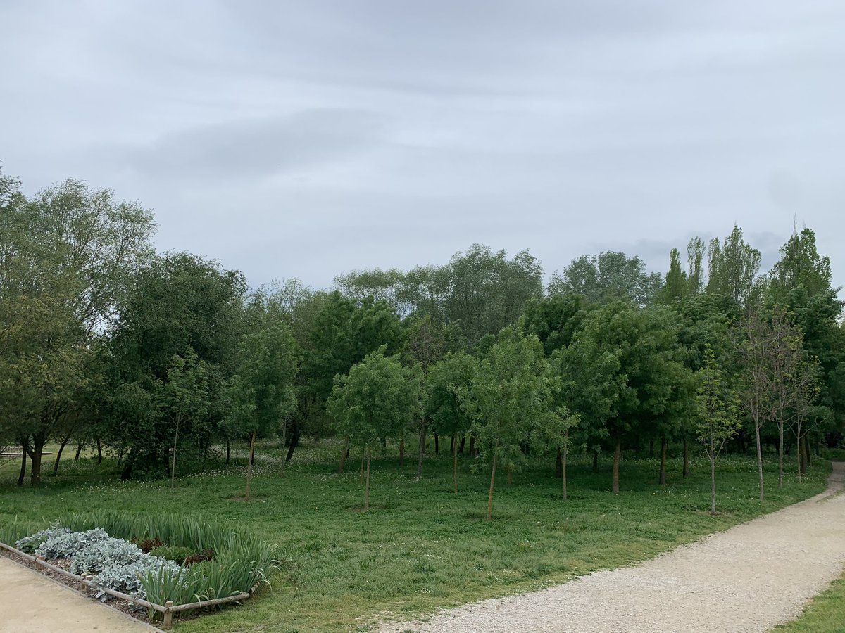 crisibarrola_'s tweet photo. ¡Qué bonita es Pamplona! Parque Aranzadi. #pamplonaverde #pamplonasostenible #googreen https://t.co/1gAb0TJNyM