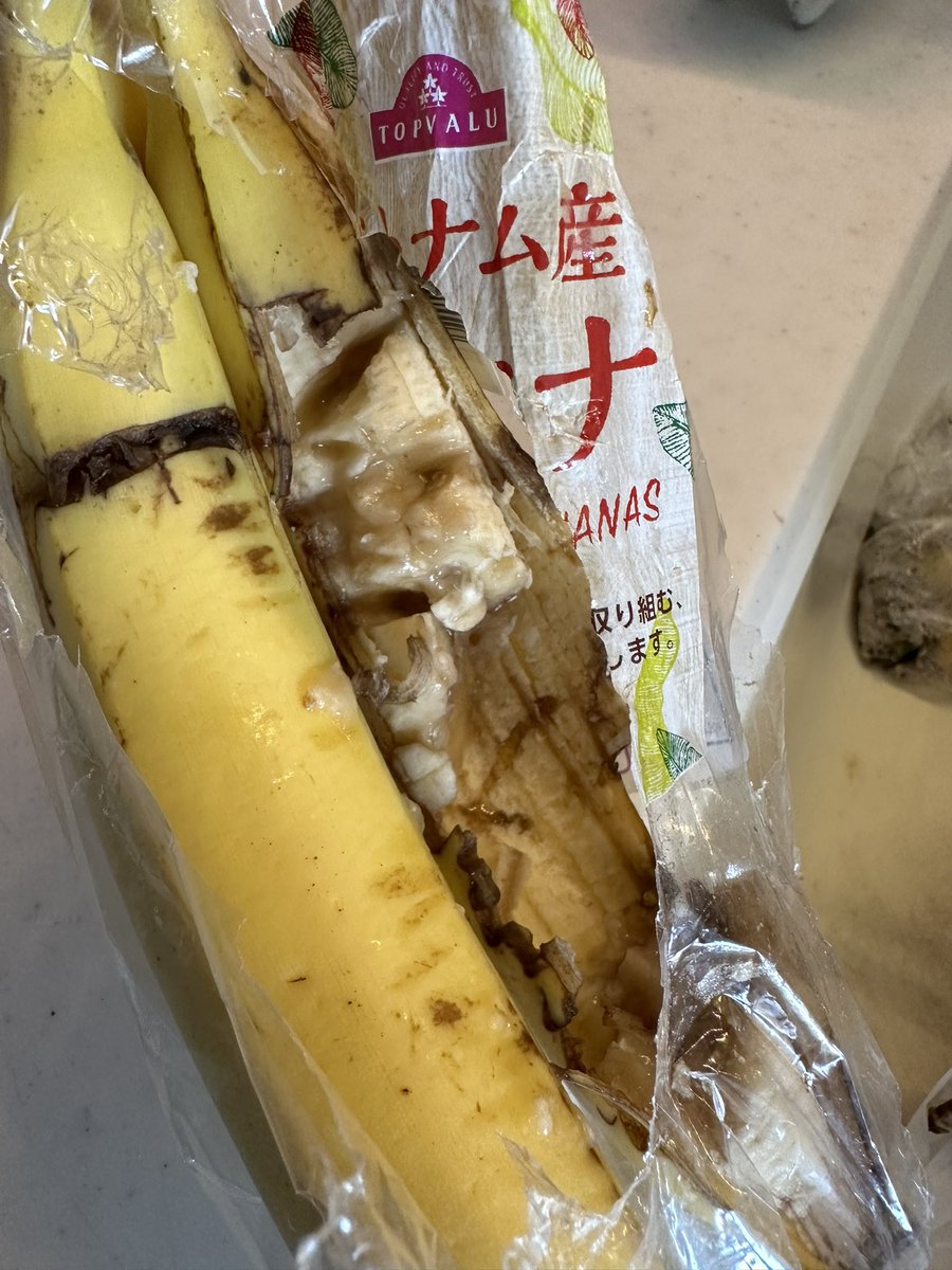 877lima's tweet image. リマです…

バナナで何か作ろうと買って外に置いといたら、誰かクチバシある人にやられましたヽ(￣д￣;)ノ=3=3=3

美味しかったですか…

リマのスティクケーキもおすすめです(°▽°)