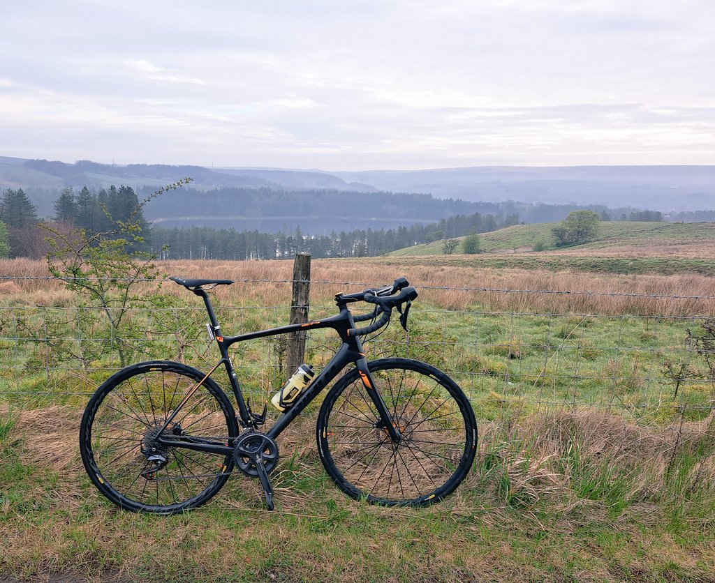 William Broadbent tweet media