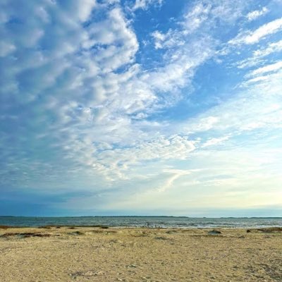 pholarb's tweet image. #NewProfilePic