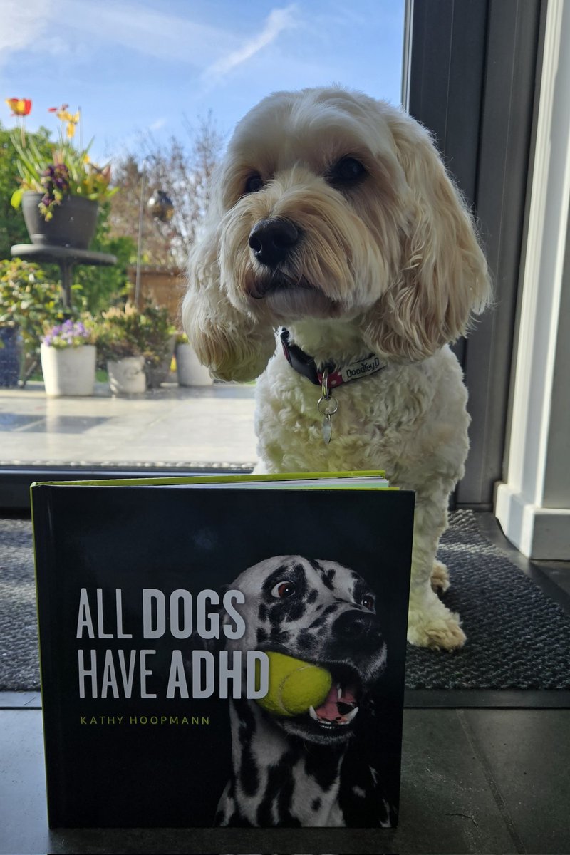 ADHD Counselling UK tweet media