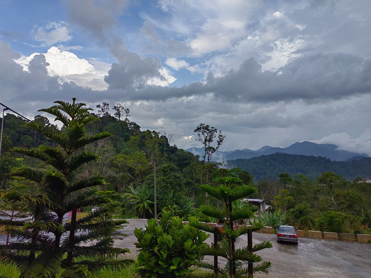 kankamonteo1489's tweet photo. Enjoy the good atmosphere at Genting Sempah after the rain. 

#Hive 👉
https://t.co/kzAJeFlJDw 

#Travel #hiveblogshare #posh #photooftheday #NaturePhotography https://t.co/WgxxiRMQbY