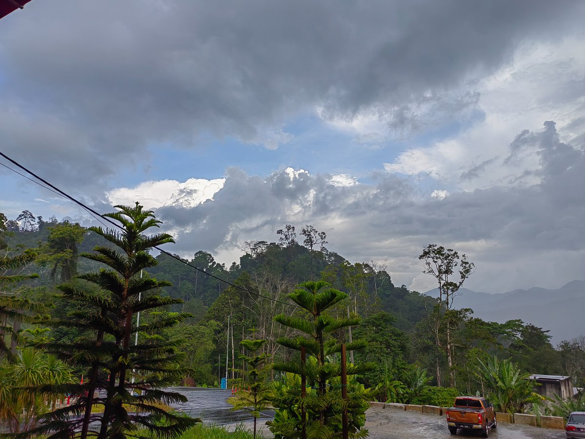 kankamonteo1489's tweet photo. Enjoy the good atmosphere at Genting Sempah after the rain. 

#Hive 👉
https://t.co/kzAJeFlJDw 

#Travel #hiveblogshare #posh #photooftheday #NaturePhotography https://t.co/WgxxiRMQbY