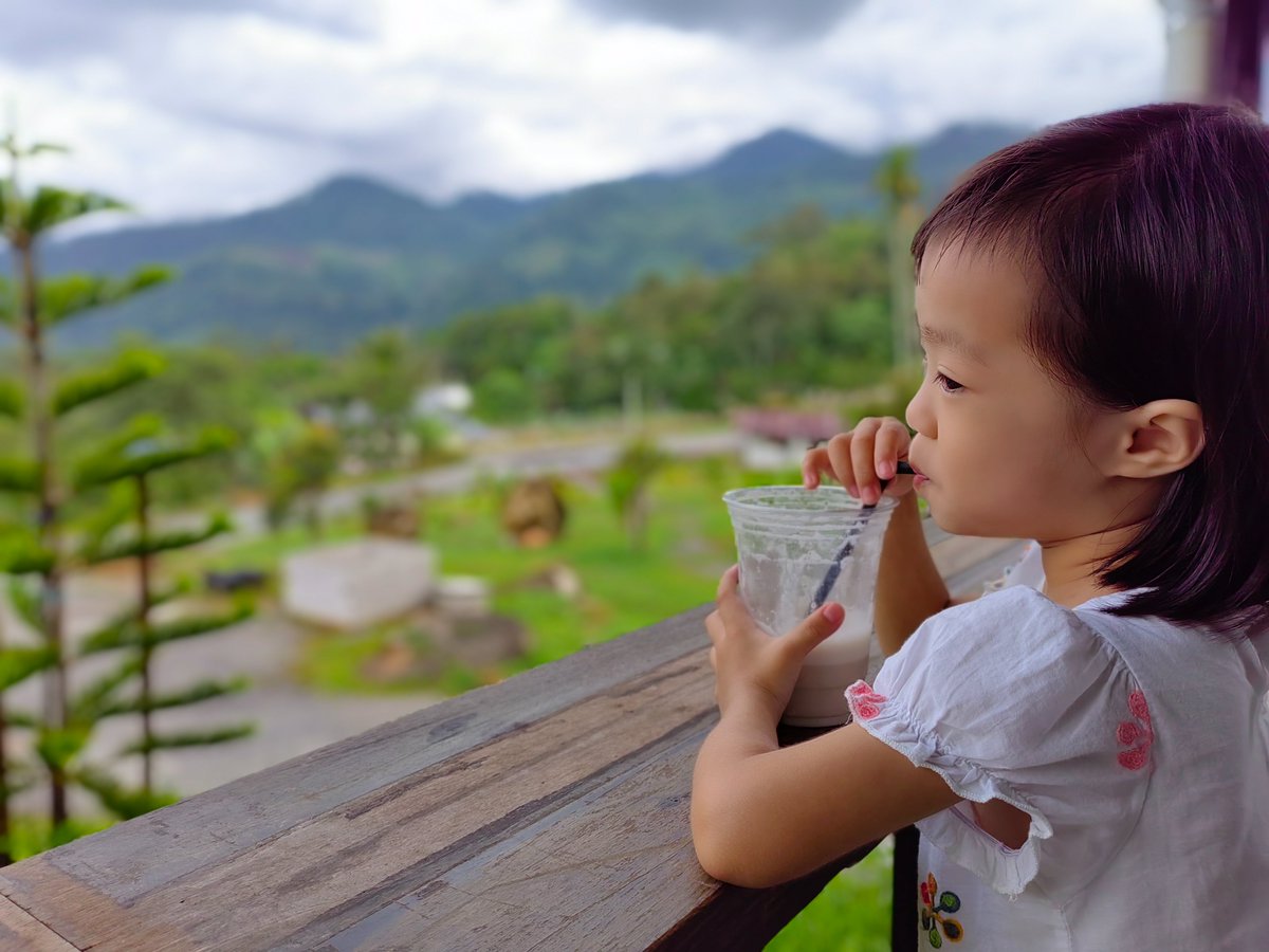 kankamonteo1489's tweet photo. Enjoy the good atmosphere at Genting Sempah after the rain. 

#Hive 👉
https://t.co/kzAJeFlJDw 

#Travel #hiveblogshare #posh #photooftheday #NaturePhotography https://t.co/WgxxiRMQbY