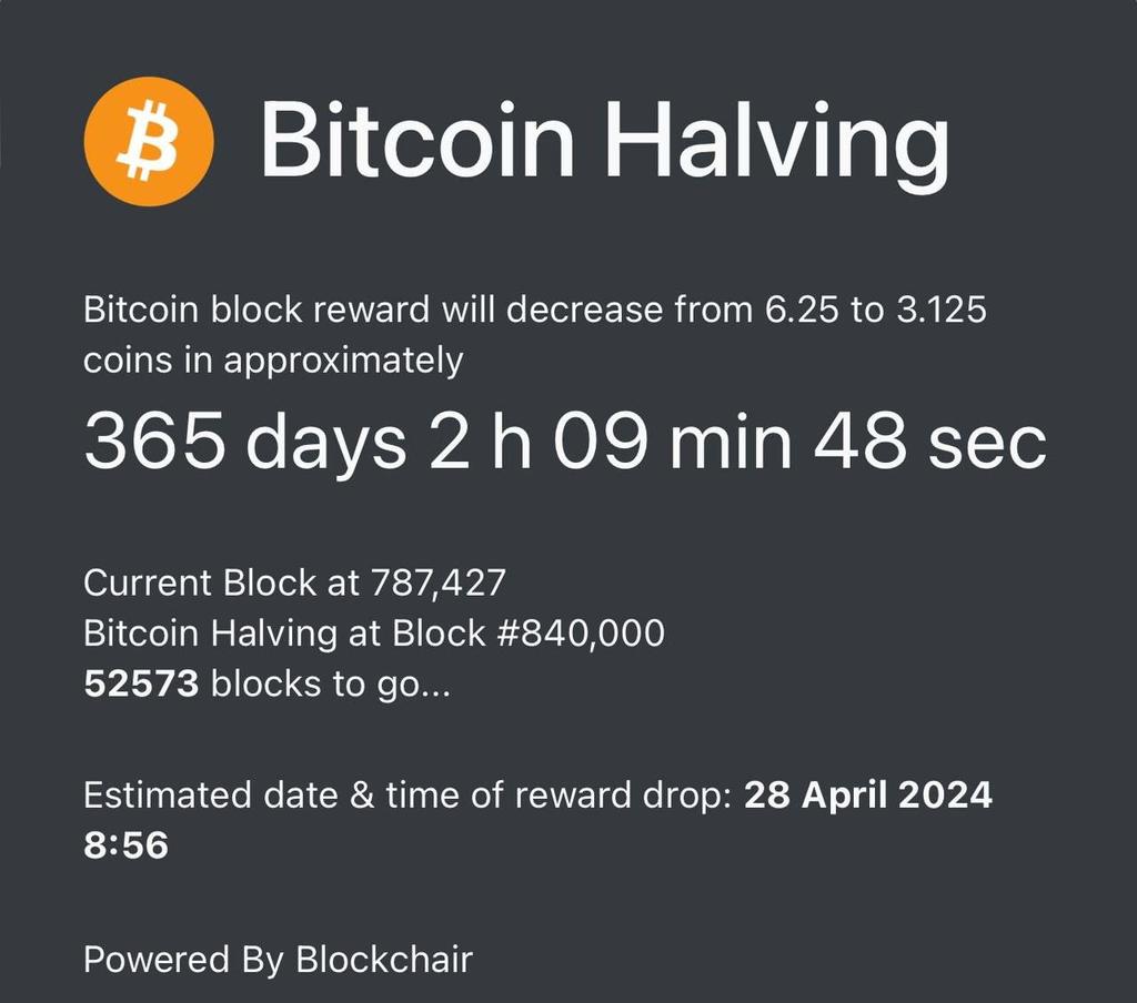 Next #Bitcoin Halving only 365 days away 🔥🚀

ETA: April 28, 2024

#BTC #Crypto #cryptocurrencies