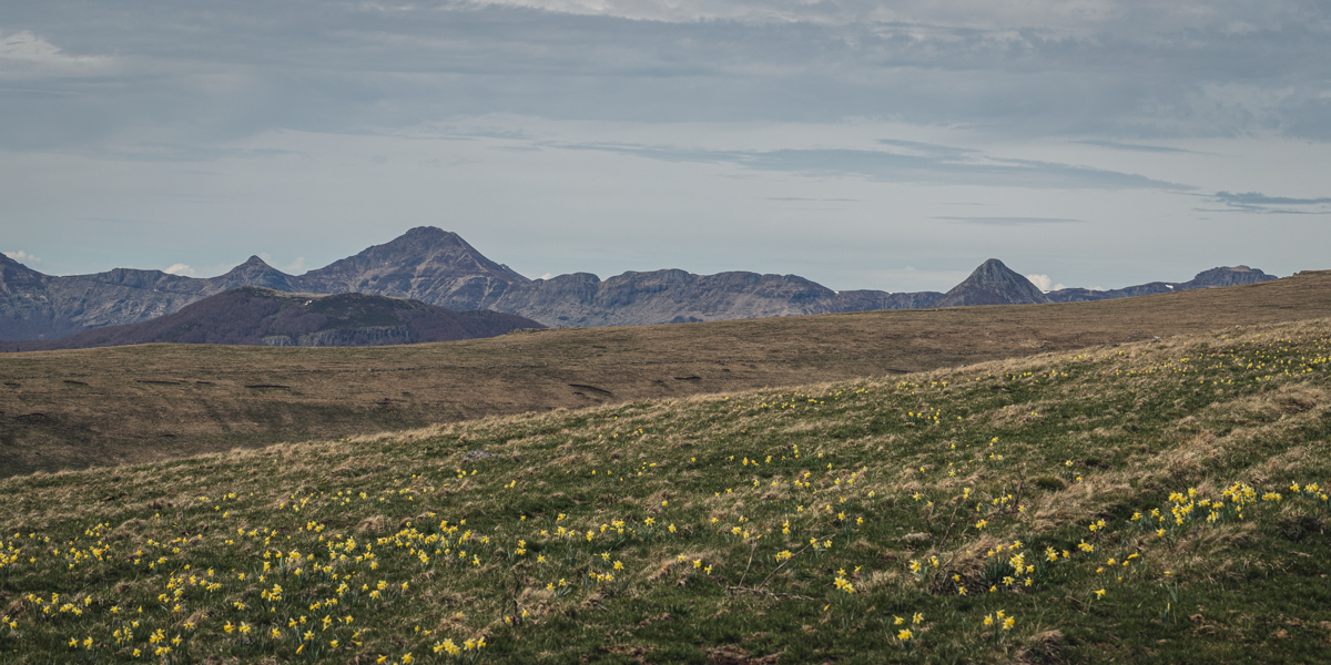 Chemin des montagnes Pailherols-Plomb du Cantal
GR 465
#randonnée
#pailherols
#montagne 
#montsducantal
#cantal
#gr465
#cantaldestination
