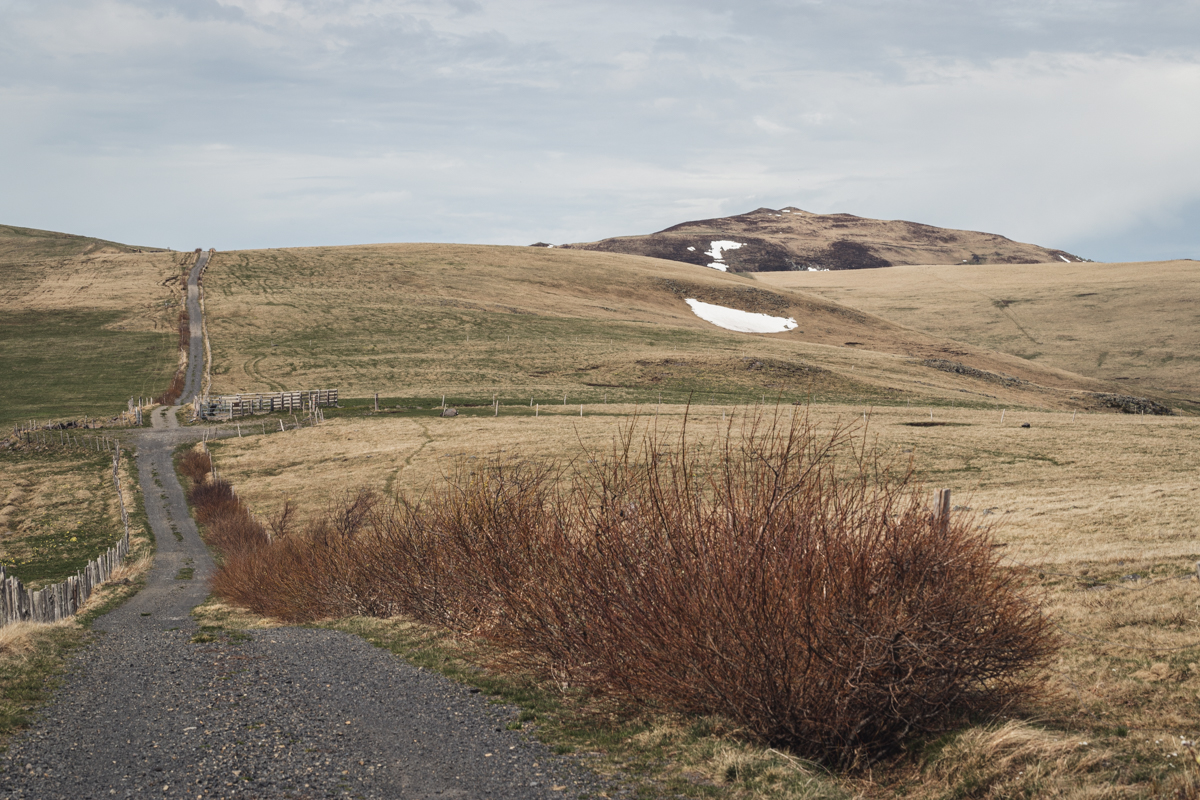 Mamat151's tweet photo. Chemin des montagnes Pailherols-Plomb du Cantal
GR 465
#randonnée
#pailherols
#montagne 
#montsducantal
#cantal
#gr465
#cantaldestination https://t.co/nGWd5RGJhN