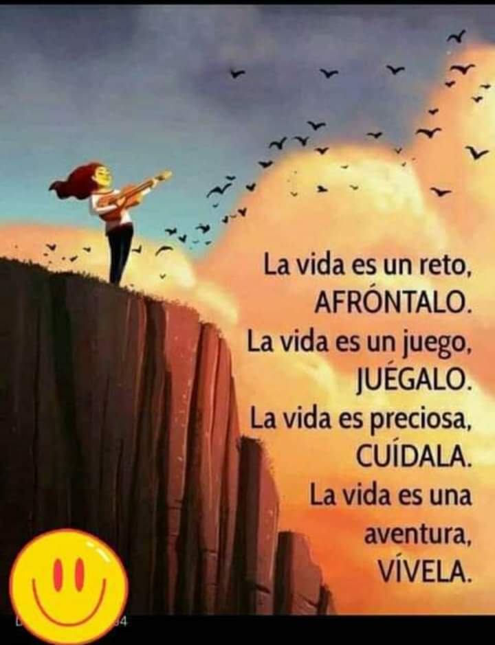 VidaEquilibrada (@vidaequilibrad4) on Twitter photo 