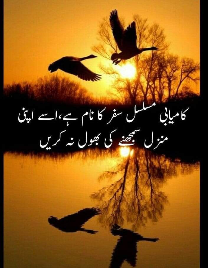 eng_muhsin's tweet photo. پیچھے وہ نہیں رہ جاتے جو کچھ حاصل نہیں کرپاتے، پیچھے وہ رہ جاتے ہیں جو سب پاکر بھی اللہ کی محبت نہیں حاصل کر پاتے۔
آپ بالکل بھی خالی ہاتھ رہ جانےوالے نہیں ہیں، کیونکہ اللہ کا ظرف بہت بلند ہے، وہ مانگنے والوں کو دینا جانتا ہے کیونکہ وہ مانگے بغیر ہی بہت کچھ دے چکا ہے الحمد اللہ https://t.co/QT0t0kU2GM