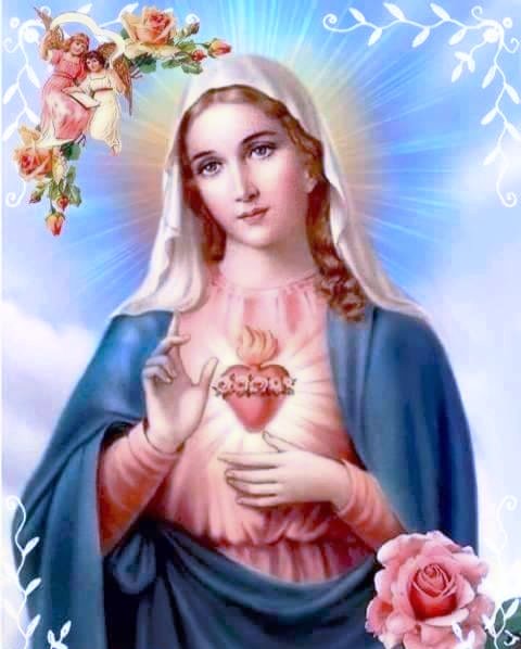 flor_ell879's tweet photo. Heart of Mary, full of Grace..
Pray for us! πβοΈβ€οΈπΉποΈ
#Easterweek3 #saturday #Devotion #ImmaculateHeart https://t.co/xp8ABEWdlq