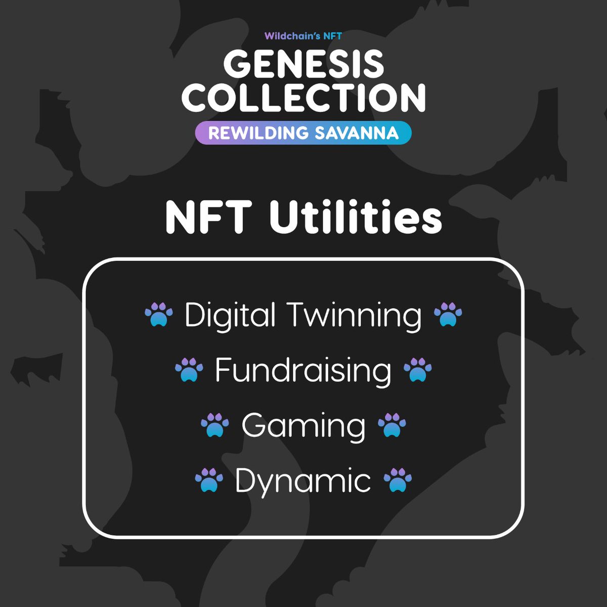 wildchainio's tweet image. 1/5 🧵

Gm wildlings, and happy weekend! ✨

Don&apos;t forget our NFT Genesis Collection: Rewilding Savanna is LIVE NOW! 

✅ Official minting link: nft.wildchain.io

Don&apos;t forget the awesome utilities you get as an adopter! 👇

#NFTutilities #mintnow #minting