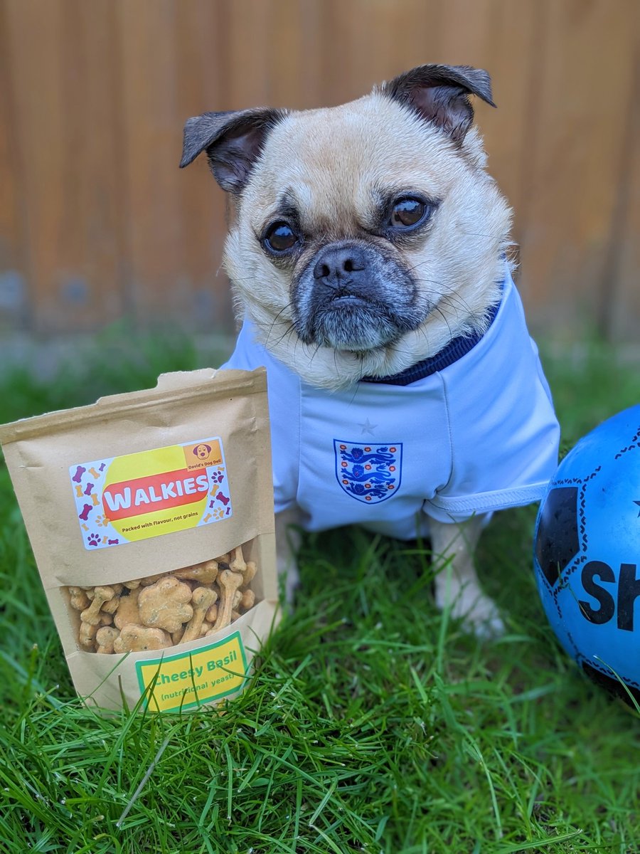 JadeAllen94's tweet photo. @Coventry_City @CoventryBS Gizmo says good luck Sky Blues! 💙🐾 #CBSFanWall ⚽ https://t.co/u68OmD3YVq