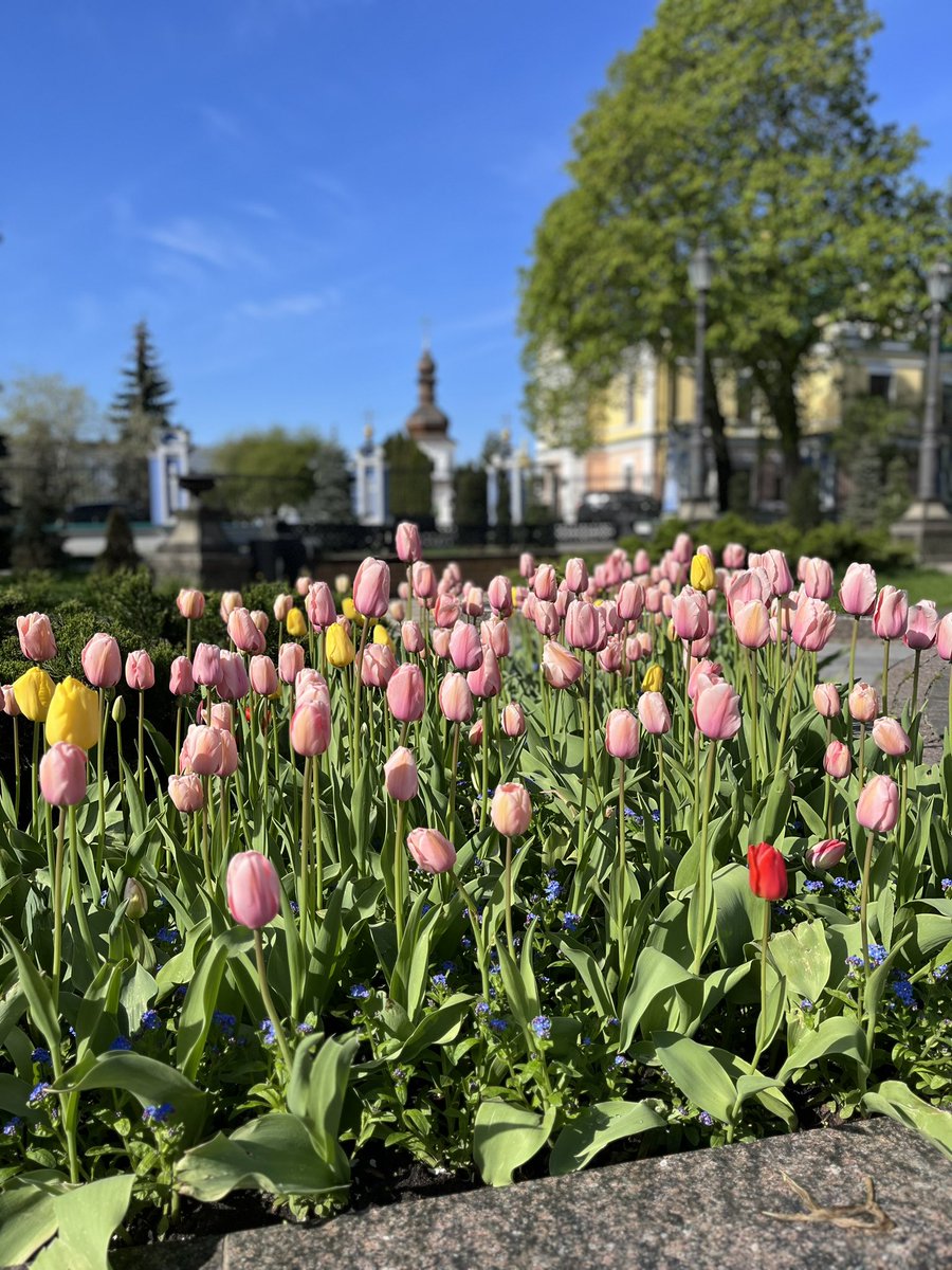 Good morning lovely people 💛💙 Thank you for your support . Wish you a great weekend 🌞 from #Kyiv with love.