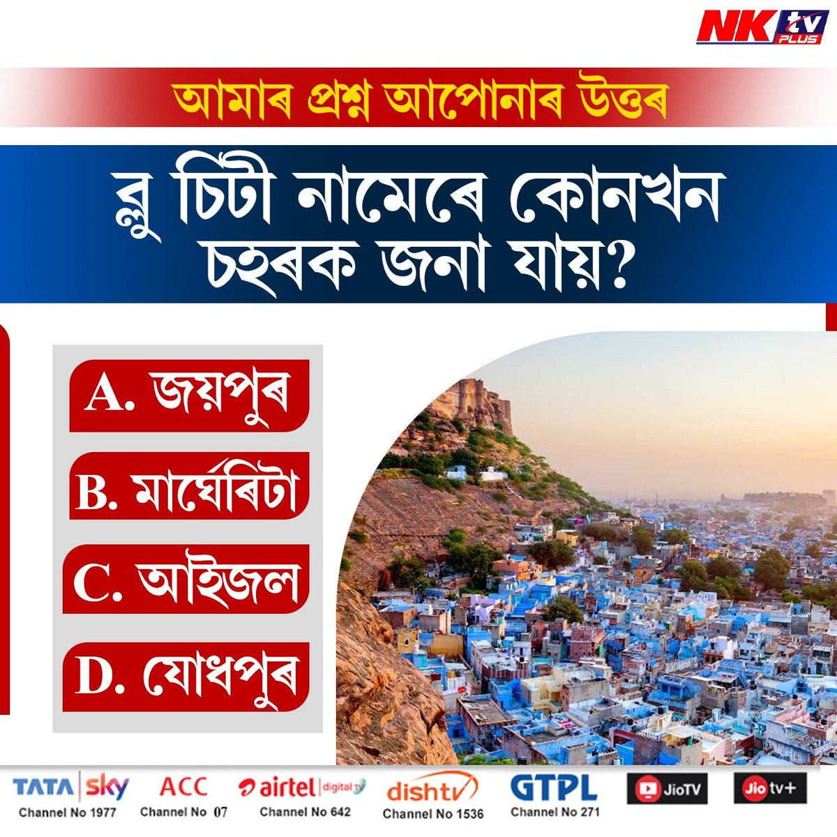 NKTV Plus tweet media