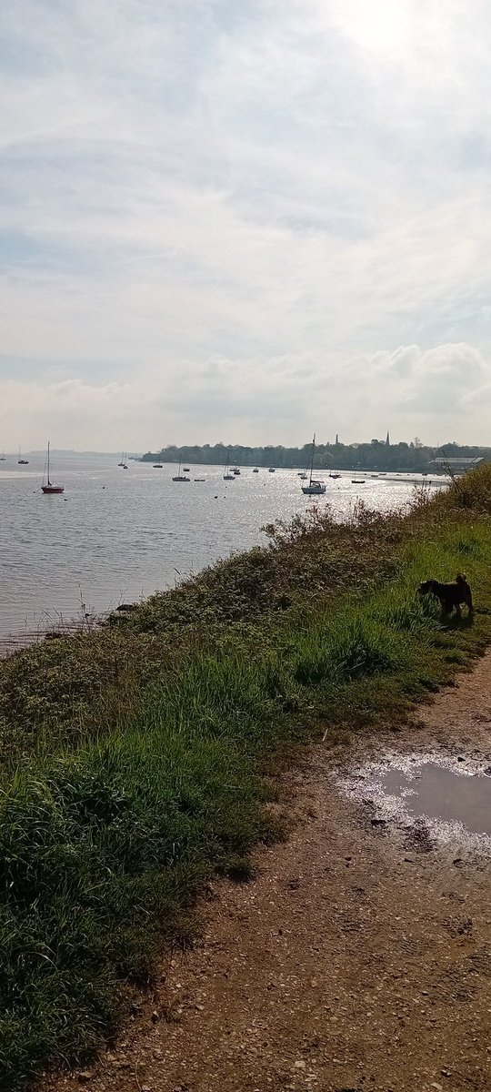 What a way to start the day a dog walk then off to the Parrots to get 3 points.